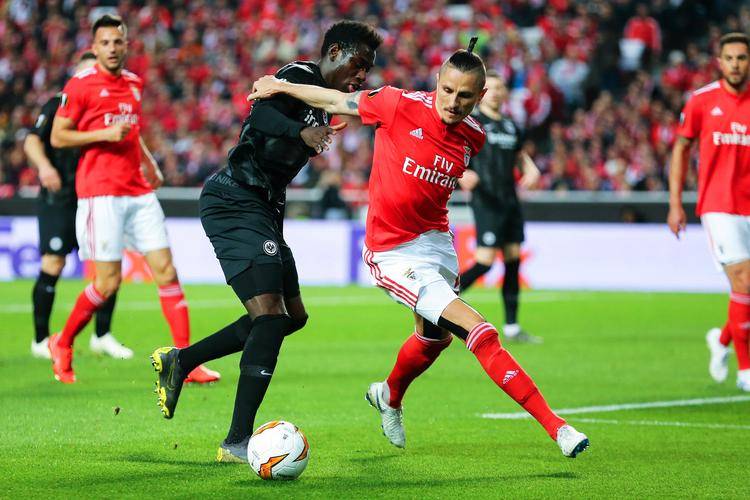 赛前本菲卡备战荷甲，战术微调细节曝光，更衣室稳定，医务组通报恢复的简单介绍